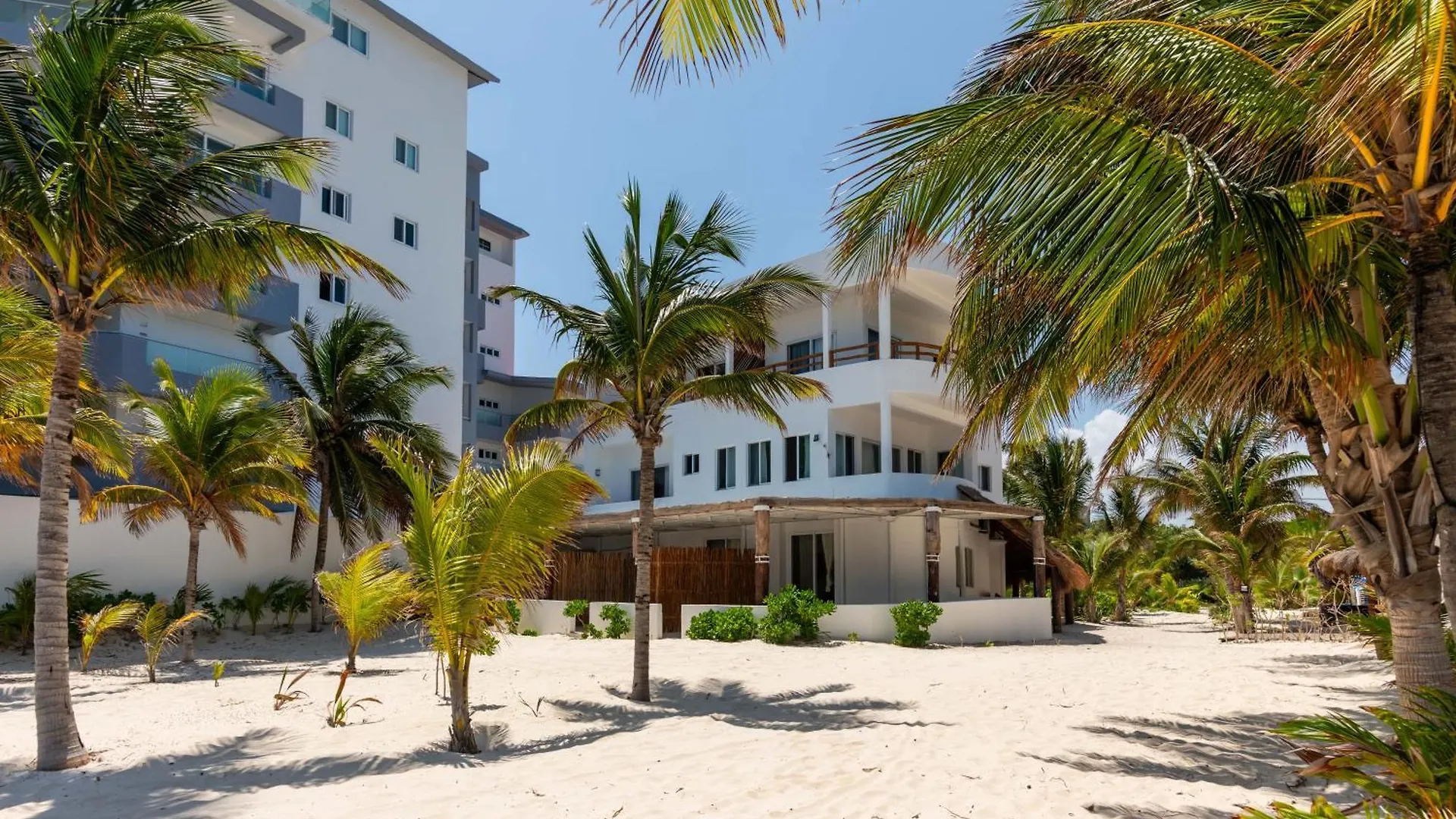 Arenika Beach House Puerto Morelos Μεξικό